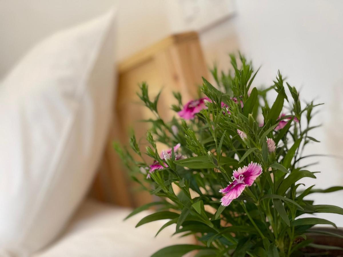 Pleiku Homestay エクステリア 写真