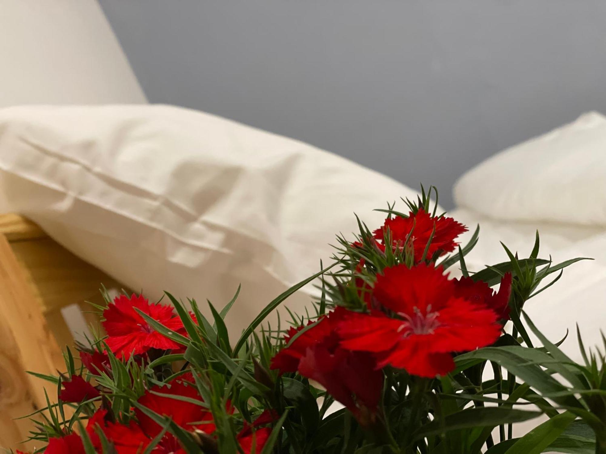 Pleiku Homestay 部屋 写真